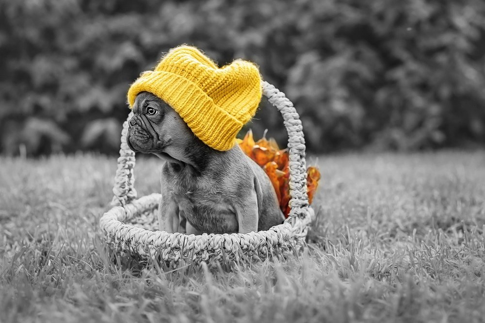 Фотография автора Наталья Копылова