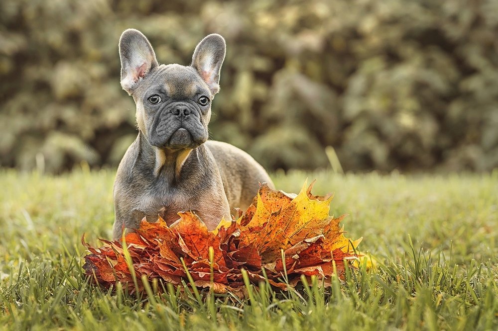Фотография автора Наталья Копылова