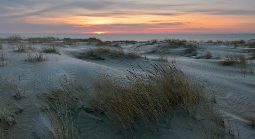 Photograph by Владимир Петрукович