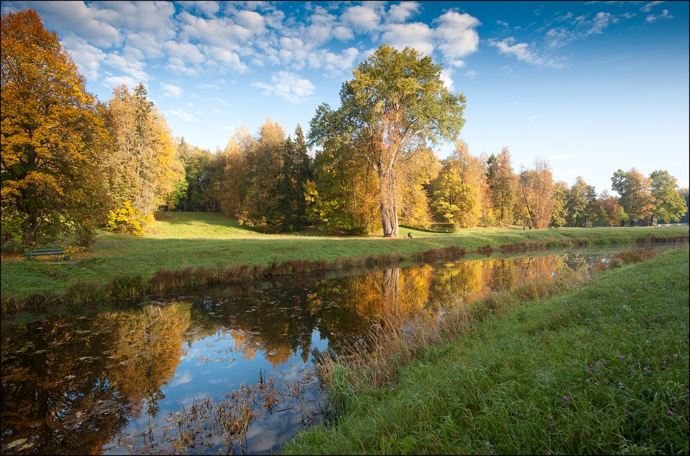 Photograph by Георгий Сапожников