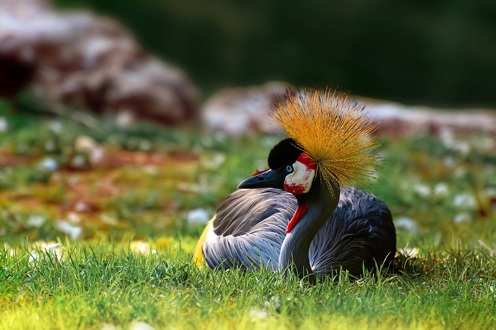 Photograph by David Lerer