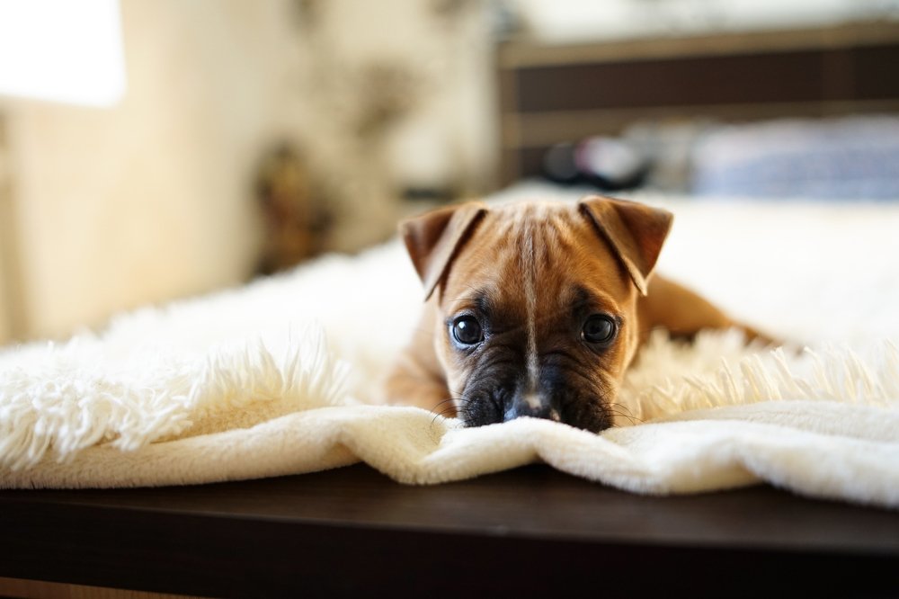 Photograph by Дарья Павленко