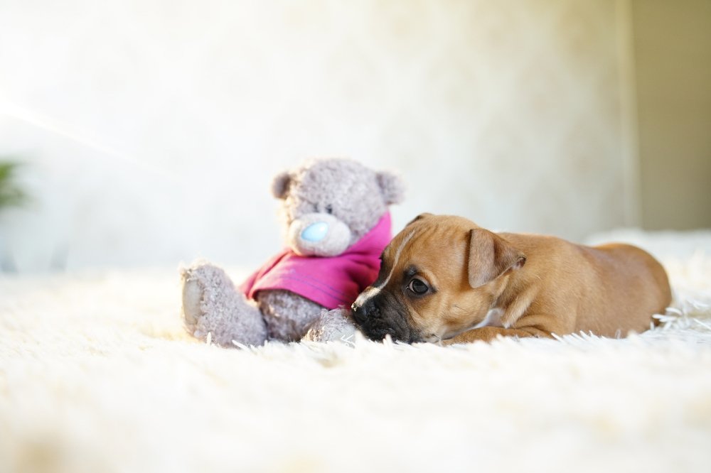 Photograph by Дарья Павленко