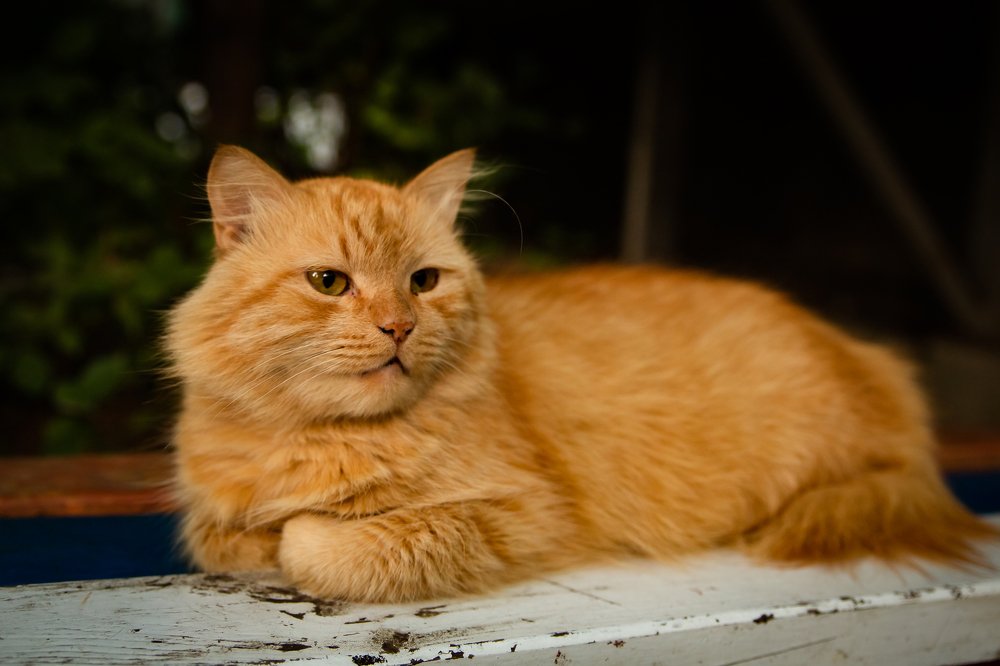 Photograph by Наталья Булгакова