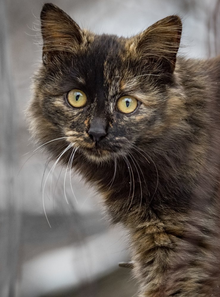 Photograph by Курлянцев Алексей