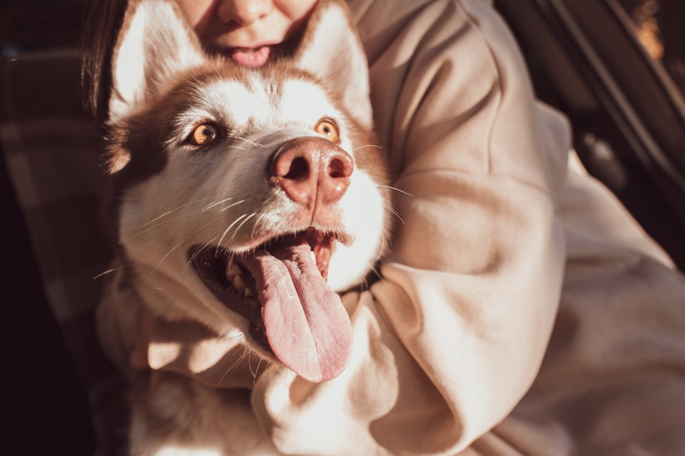 Photograph by Екатерина Абросова