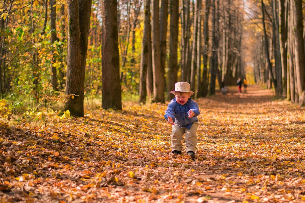 Photograph by Кирилл Бутлович