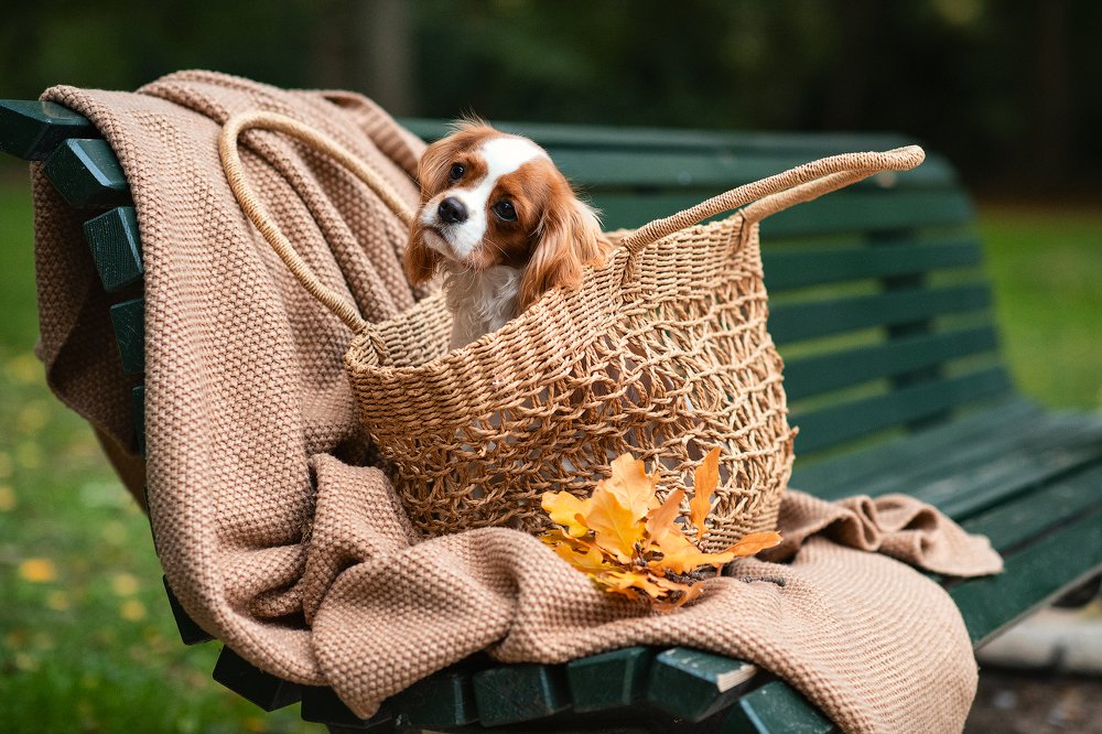 Photograph by Юлия Борт