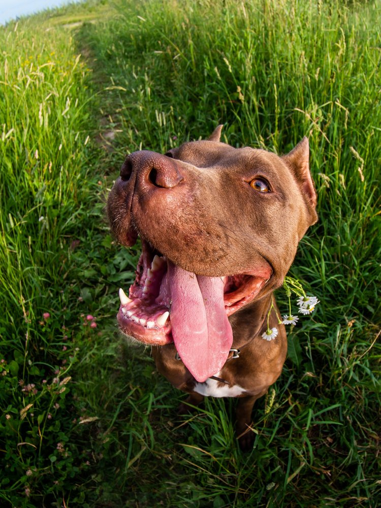 Photograph by Aleksei Kazakov