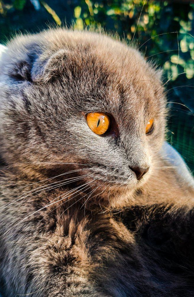 Photograph by Саламбек Ханкушов