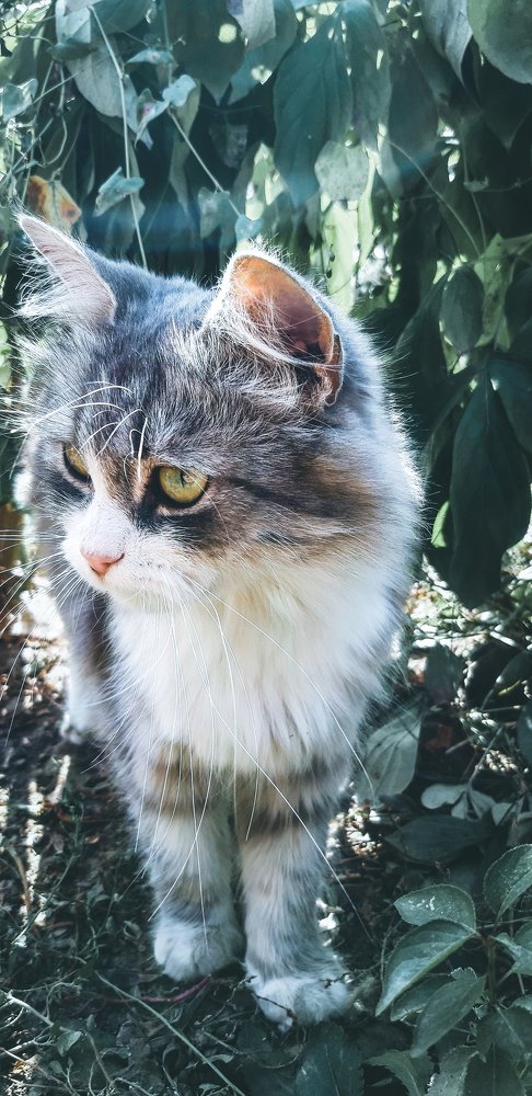 Photograph by Саламбек Ханкушов