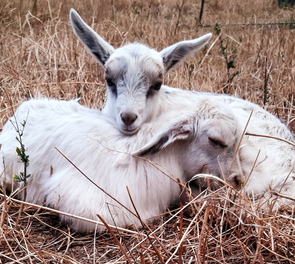 Photograph by Саламбек Ханкушов