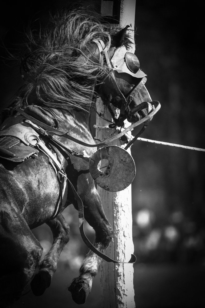 Photograph by Pablo deloyartzphoto