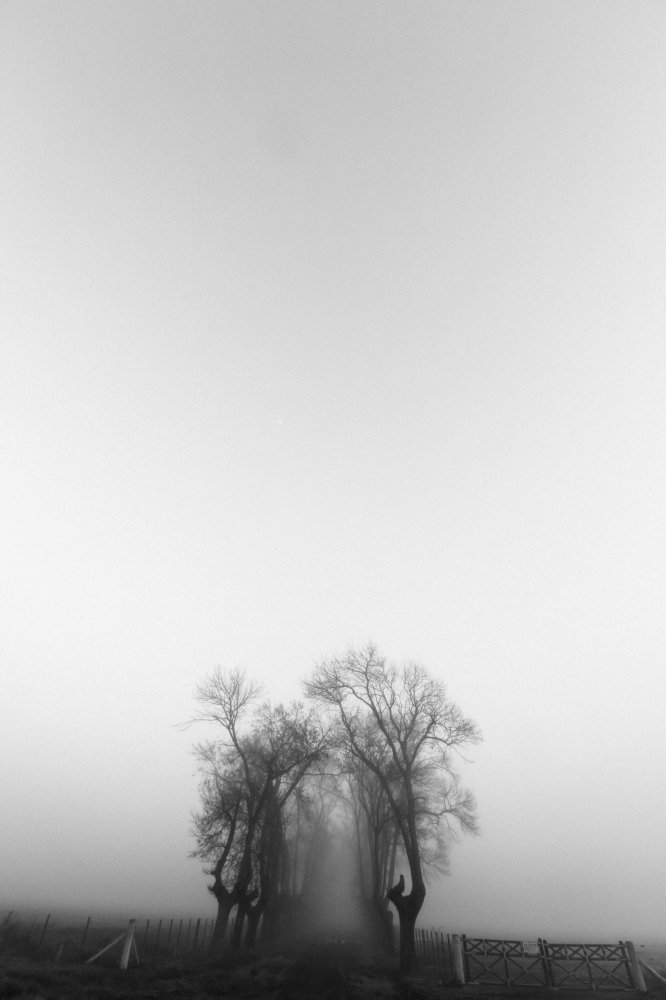 Photograph by Pablo deloyartzphoto