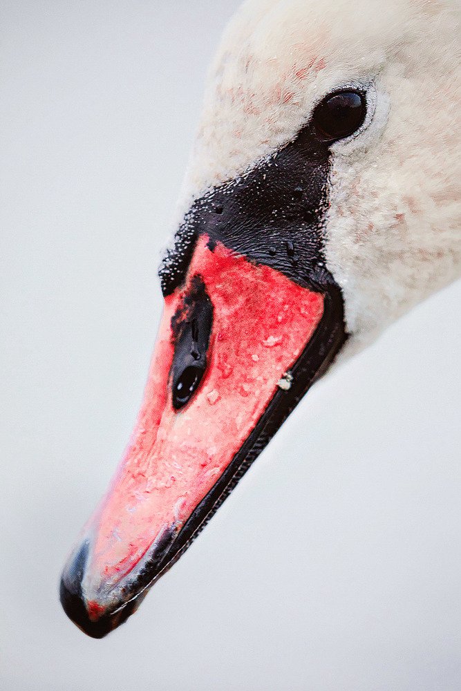 Фотография автора Евгения Кирпиченкова (Клипп)