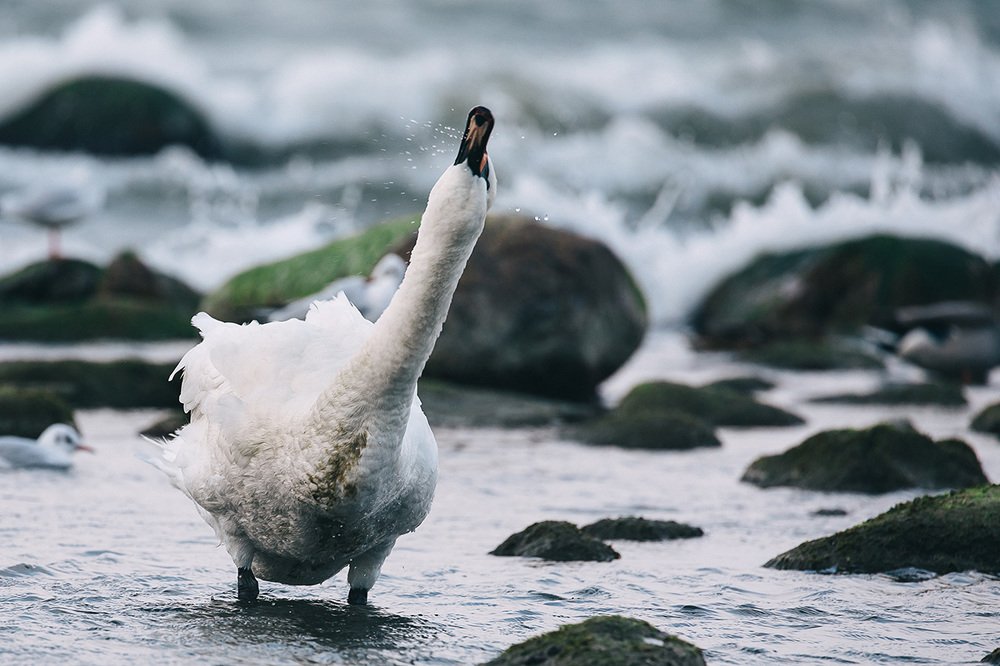 Фотография автора Евгения Кирпиченкова (Клипп)