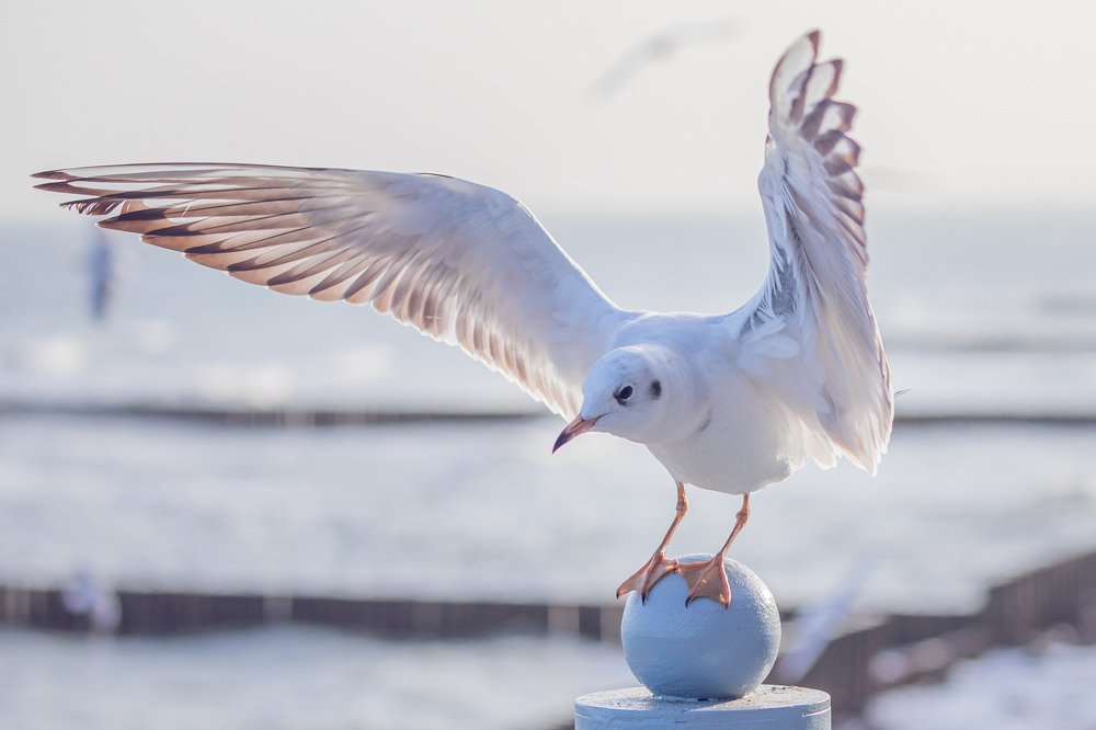 Фотография автора Евгения Кирпиченкова (Клипп)