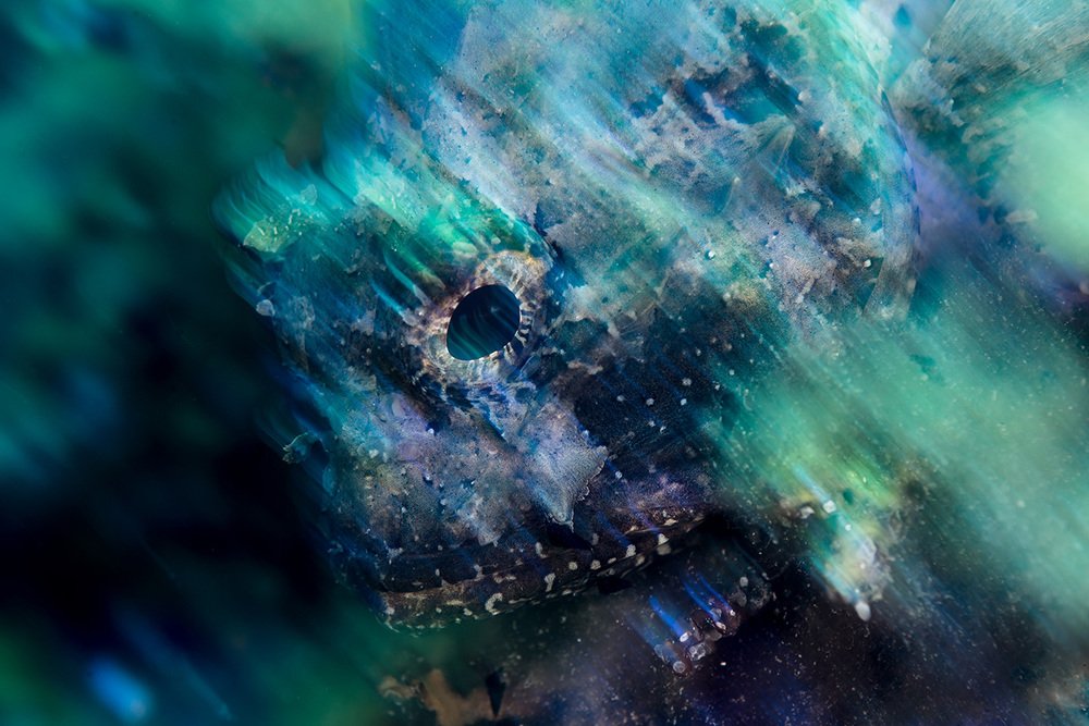 Фотография автора Евгения Кирпиченкова (Клипп)