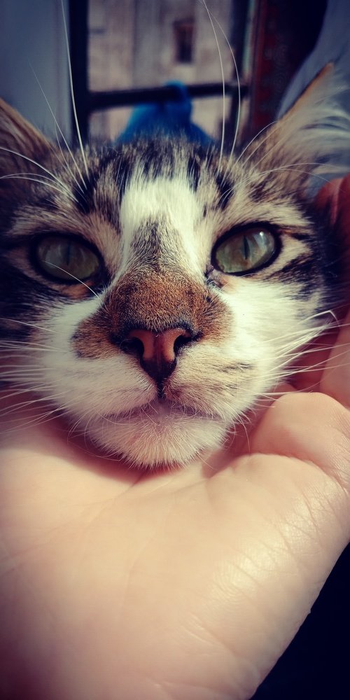 Photo #5028681