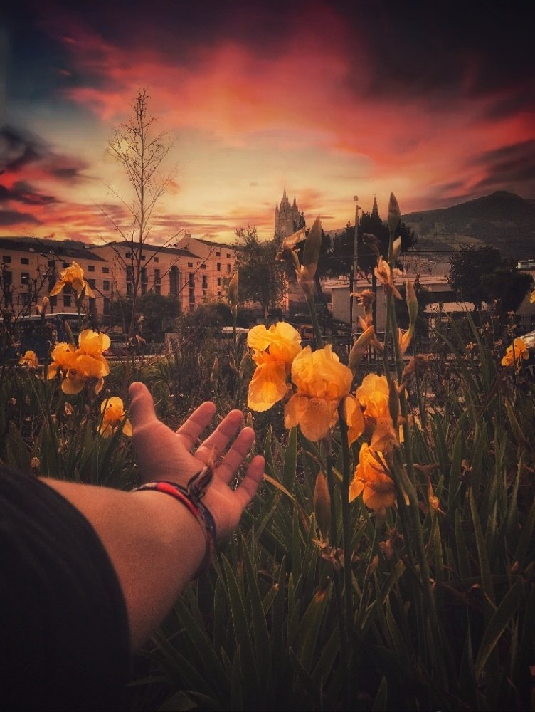 Basílica del voto nacional m