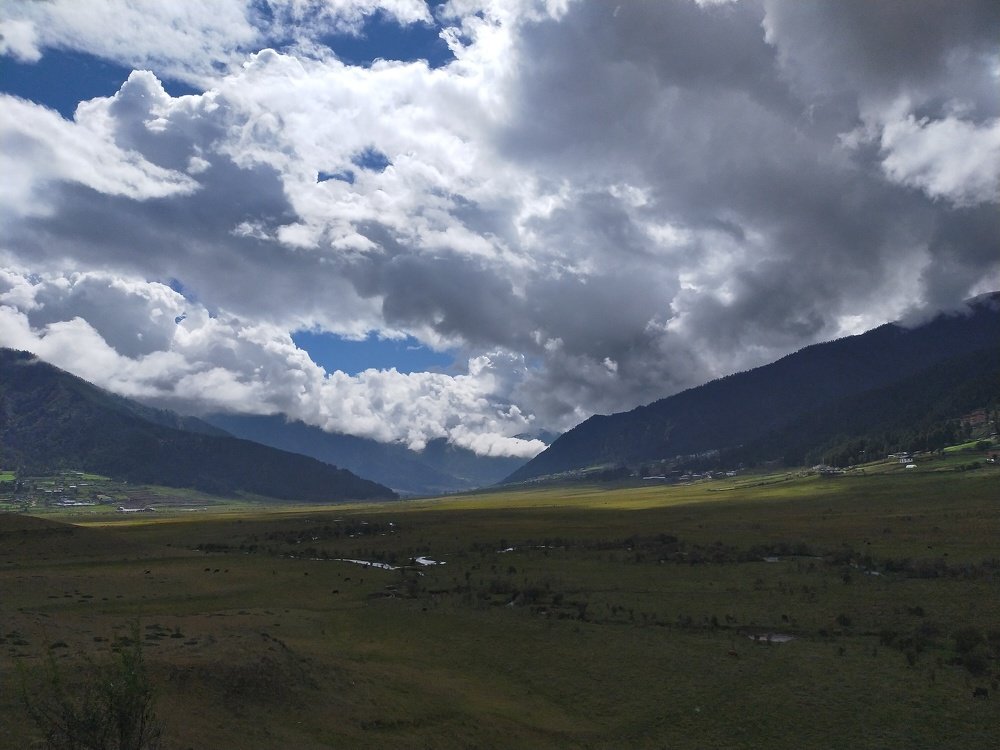Photo #5028733