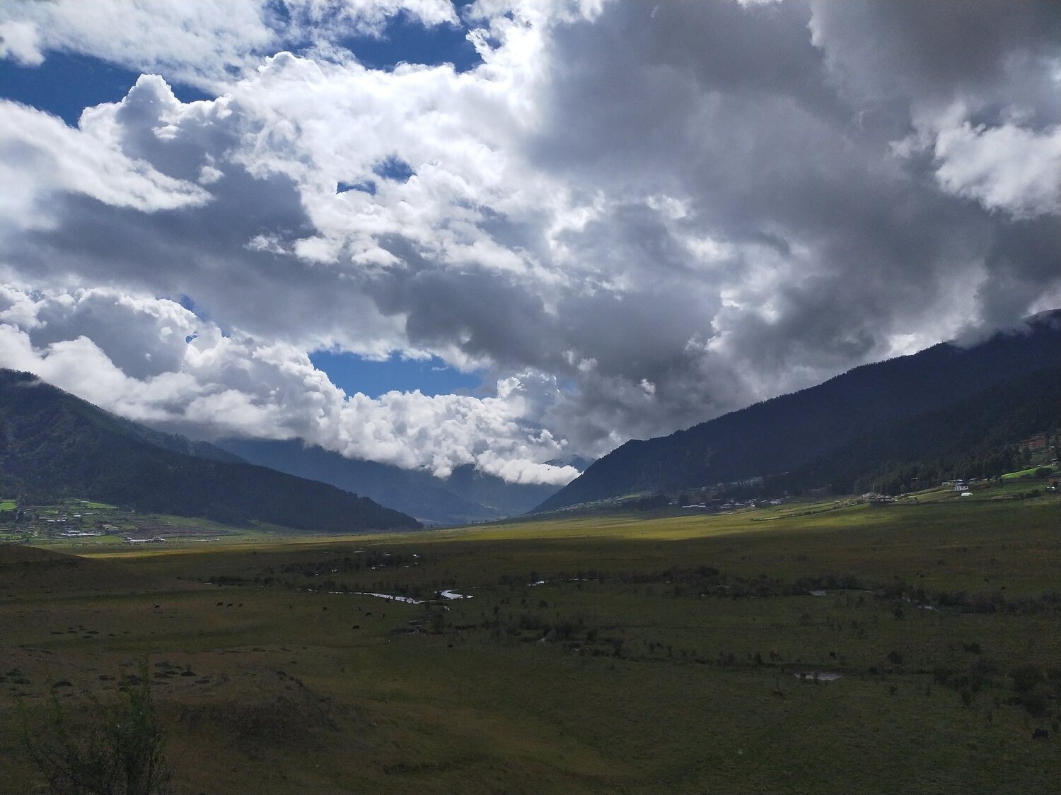 Photo #5028733