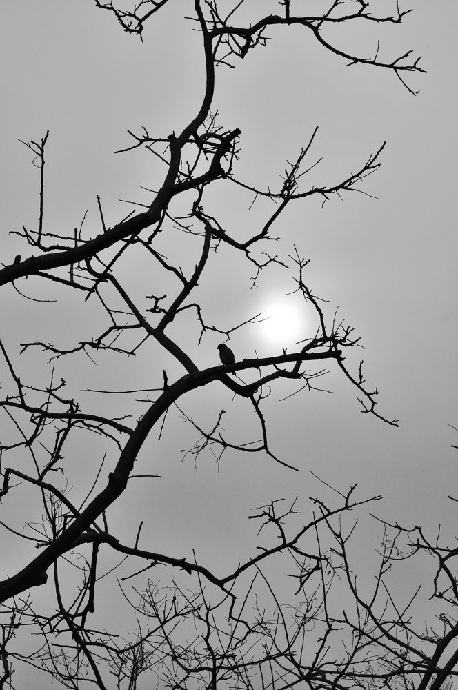 Photograph by Jorge Pedro Caggiano Perez