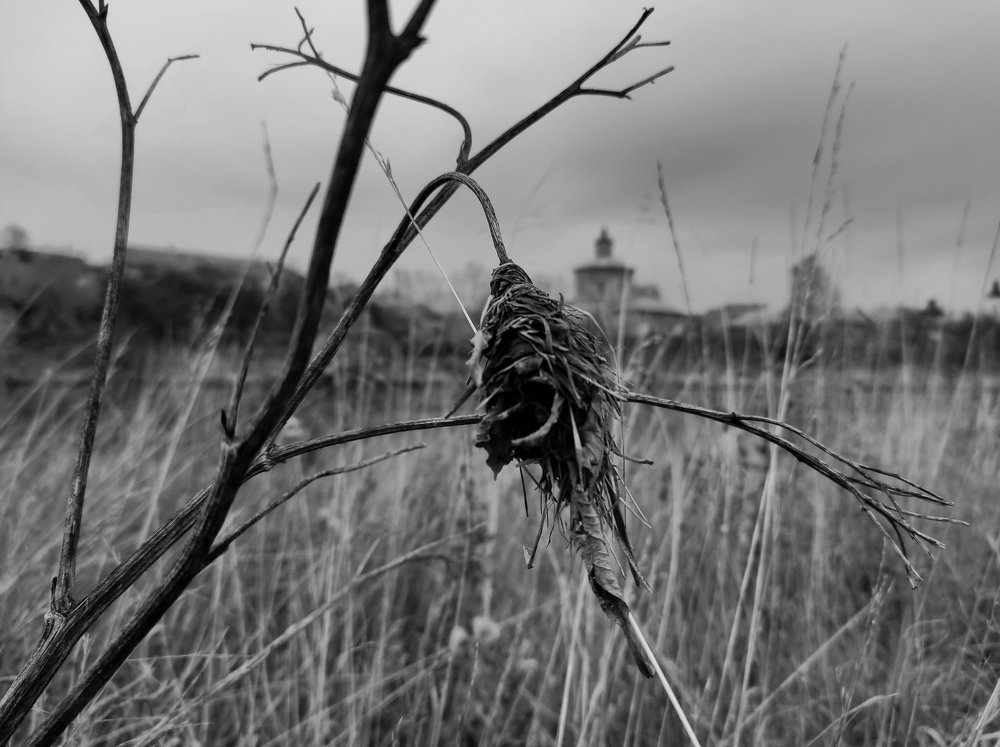 Photograph by Ирина Саттарова