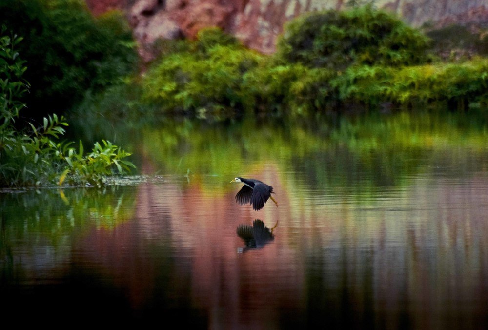 Photograph by Ivanpalex