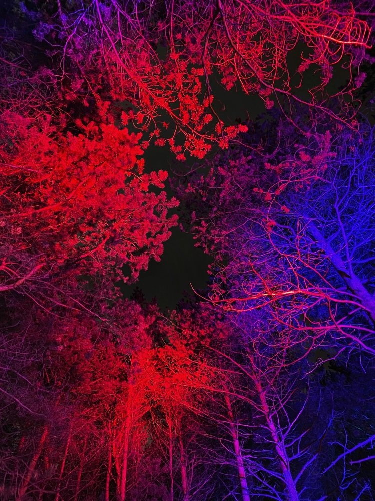 Photograph by Анастасия Племениченко