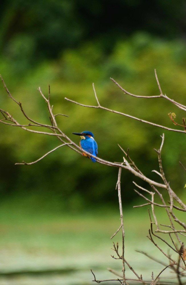 Photograph by Ivanpalex