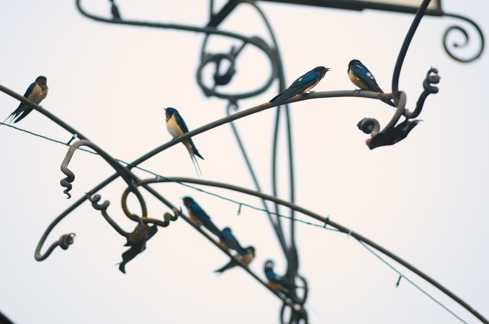 Photograph by Равиль Исмаилов