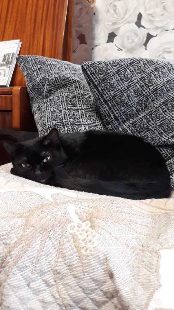 Photograph by Илья Поляков