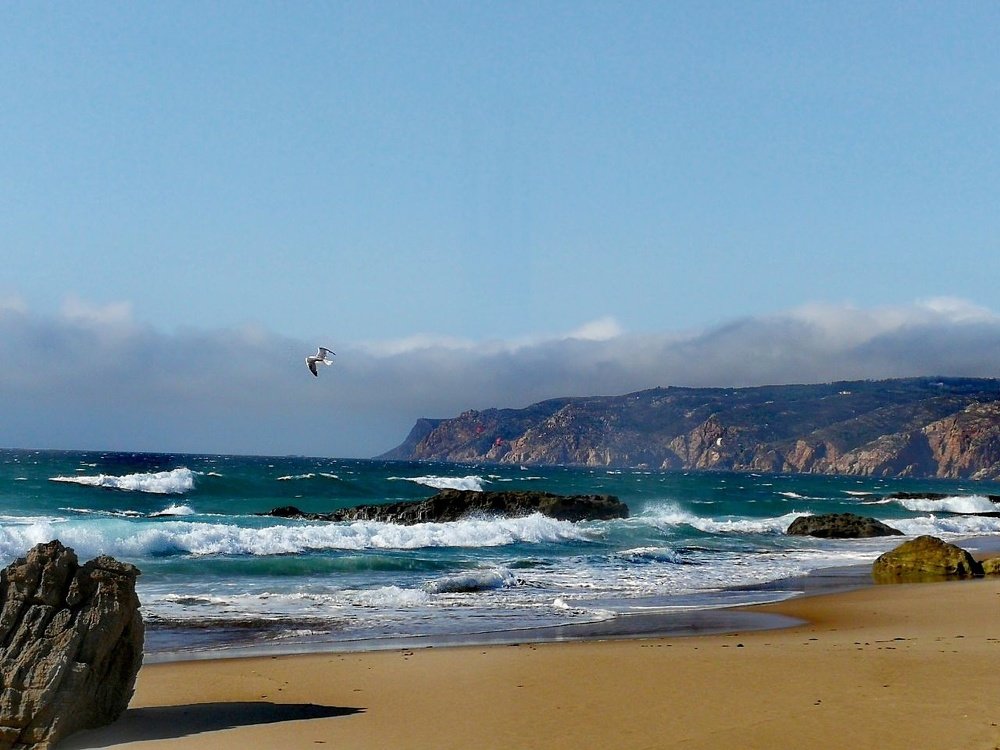 Photograph by Amanda Waldeck