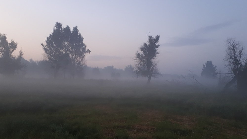 Photograph by Людмила Колеватова