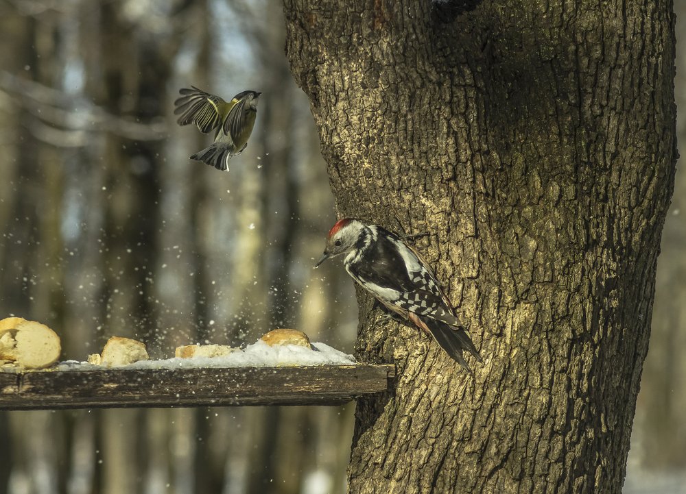 Все на Месте?