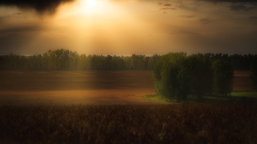 Photograph by Рымаров Александр