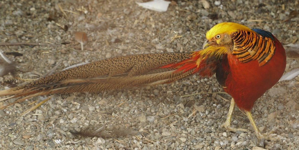 Photograph by Аркадий Смирнов