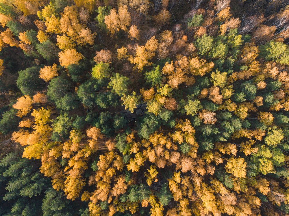 Photograph by Святослав Абросов
