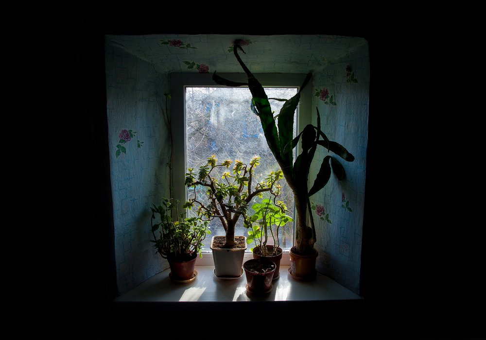 Photograph by Yulia Padalko