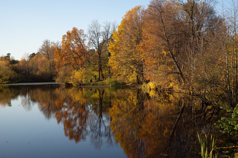 Photograph by Сергей Забиякин