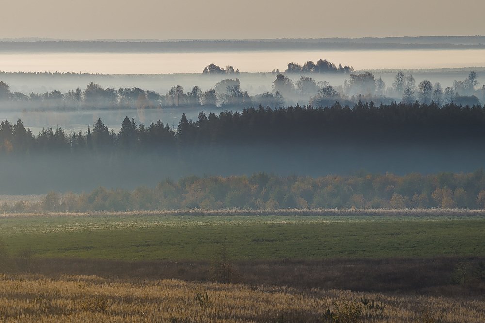 Photograph by Сергей Забиякин
