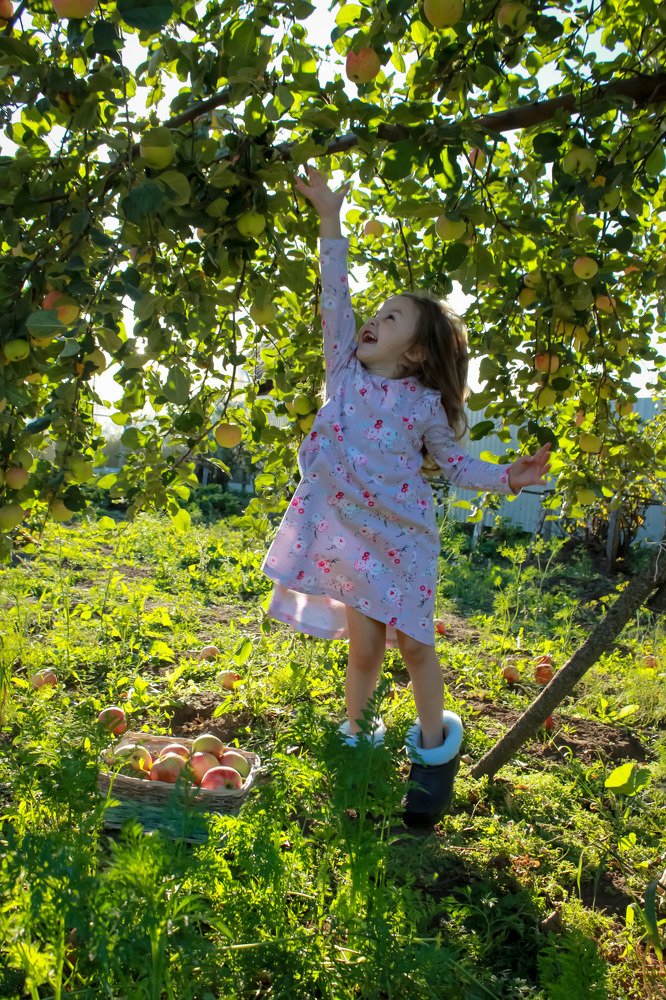 Photograph by Алла Беспалова