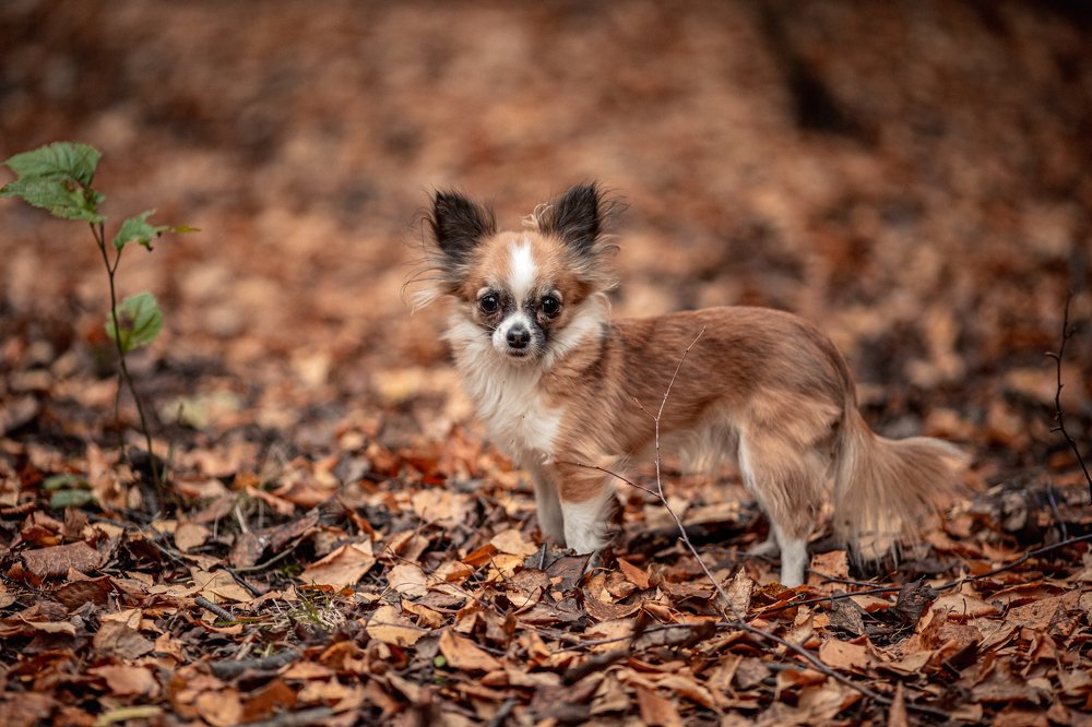 Photograph by Анна Гвоздовская