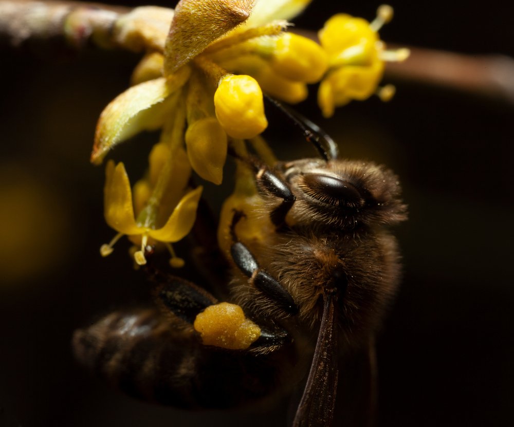 Photograph by Артем Кравец