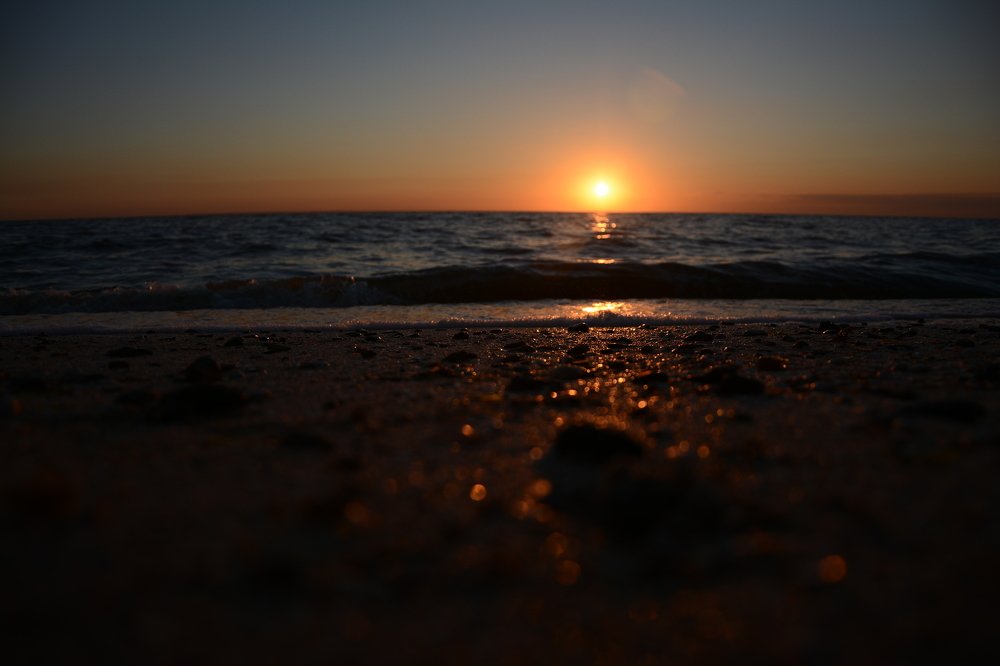 Photograph by Ольга Истомина