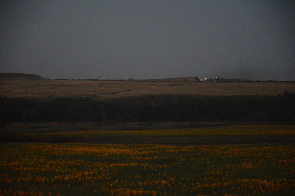 Photograph by Ольга Истомина