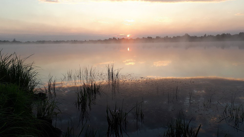 Photograph by Людмила Колеватова