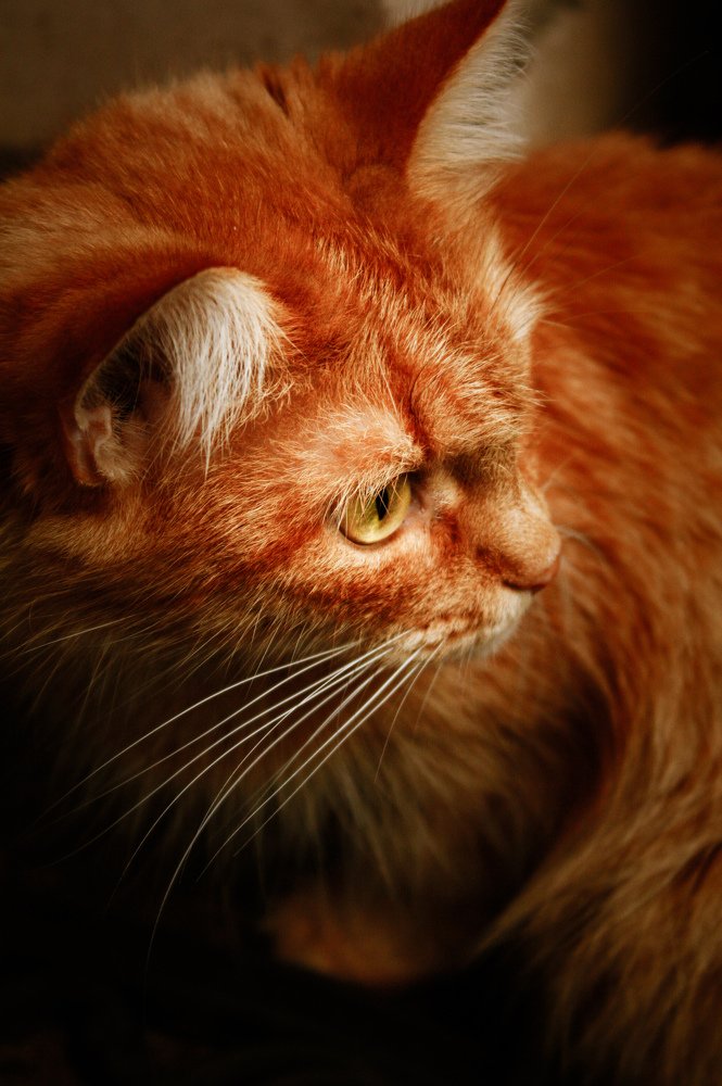 Photograph by Alena Rybakova