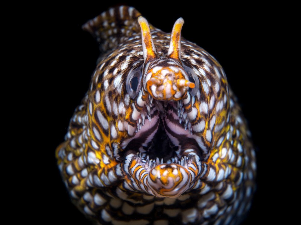 Photograph by Wesley Oosthuizen